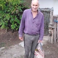 UPDATE 05.09.2025 – Alimente pentru Anton Gheorghe