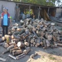 Lemne de foc pentru Dorina Garnita